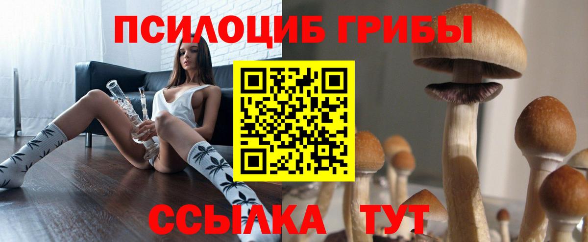 Галлюциногенные грибы Magic Shrooms Артём