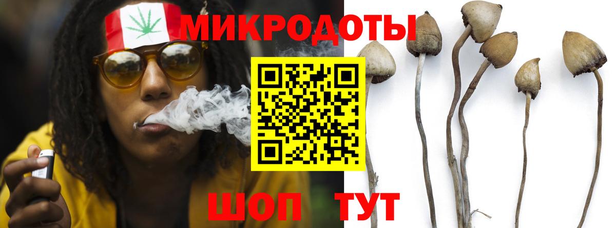 Галлюциногенные грибы прущие грибы  Галлюциногенные грибы мицелий  закладки  Артём  Вход с VPN 