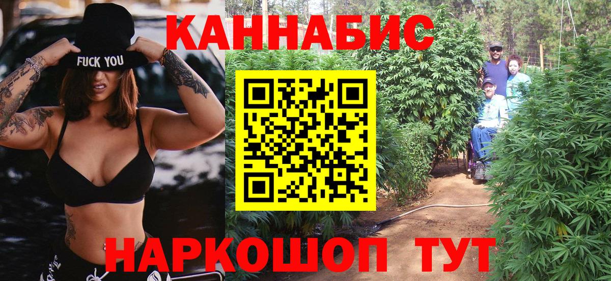 Конопля сатива Артём